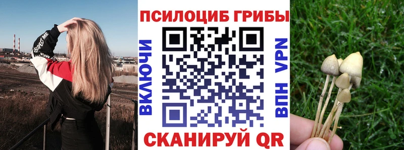 Псилоцибиновые грибы мухоморы закладки Валдай